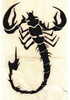 Scorpion Image